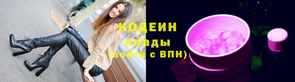 сатива Новодвинск