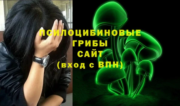 стафф Гусиноозёрск