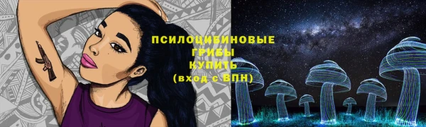 тгк Нея