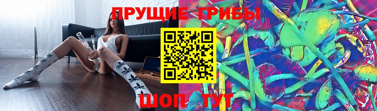 Псилоцибиновые грибы Cubensis Краснокаменск